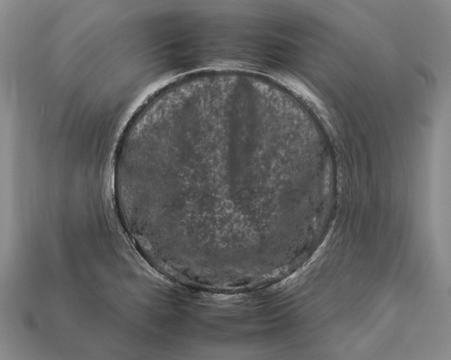 X0000112931280200909141326