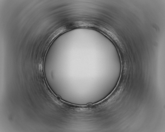 X0000112931281200909141326