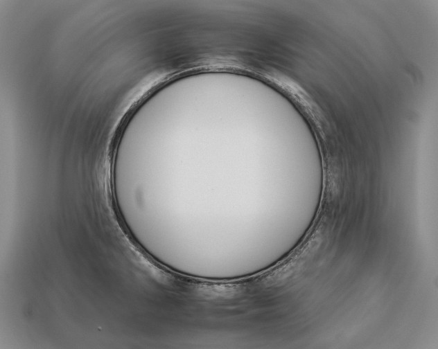 X0000112931286200909141326