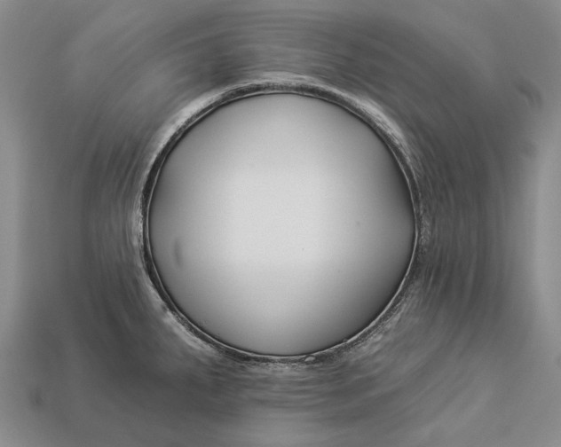 X0000112931287200909141326