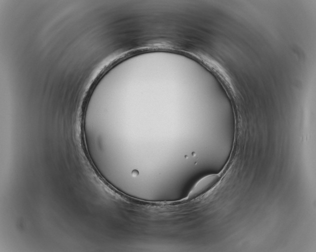 X0000112931288200909141326