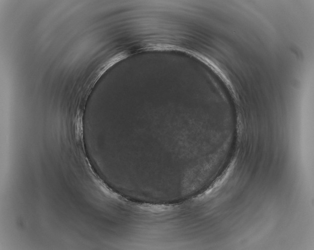 X0000112931289200909141326