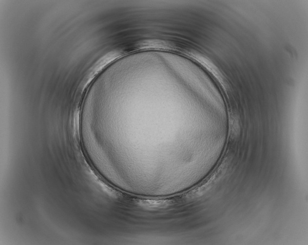 X0000112931290200909141326