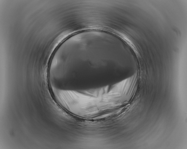 X0000112931291200909141326