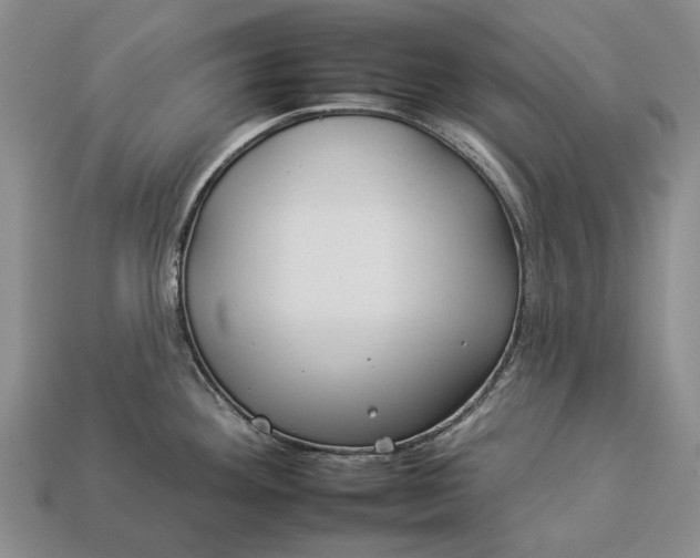 X0000112931292200909141326