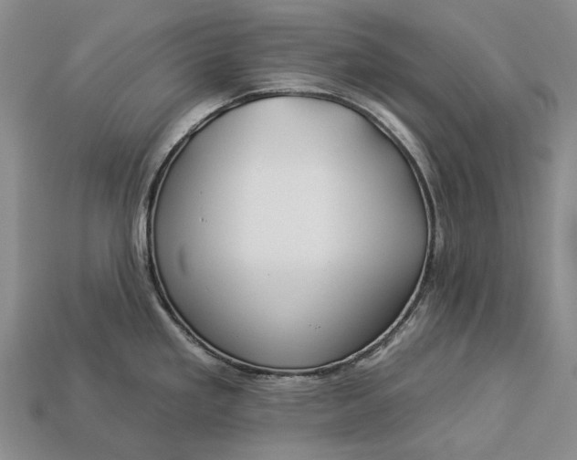 X0000112931293200909141326