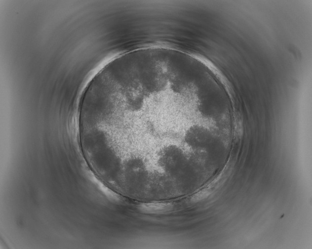 X0000112931294200909141326