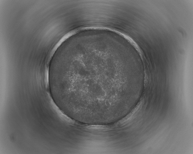 X0000112931295200909141326