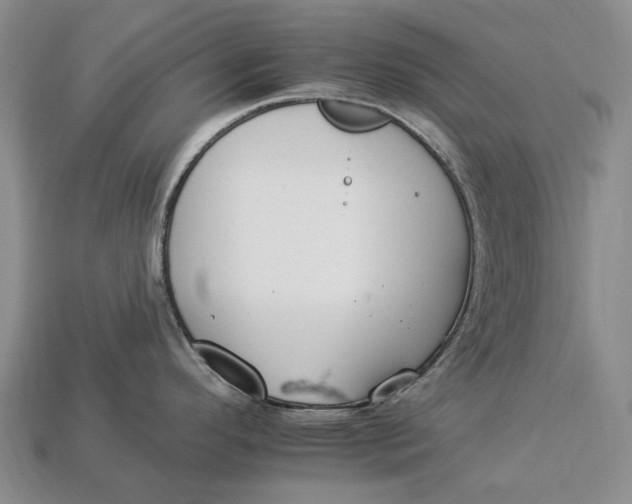 X0000112931296200909141326