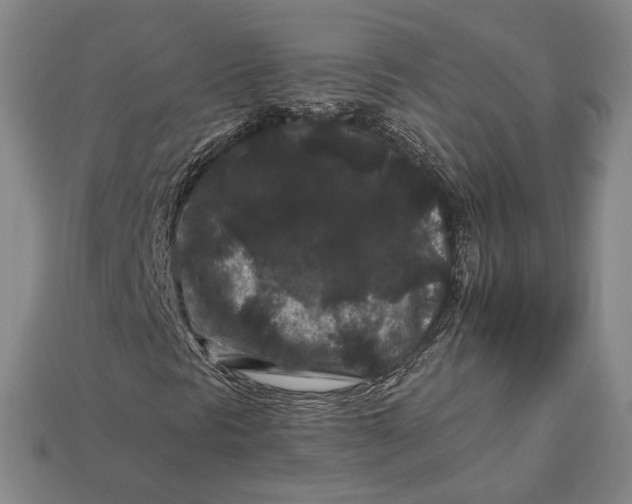 X0000112931297200909141325