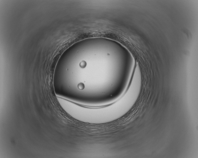 X0000112931300200909141325