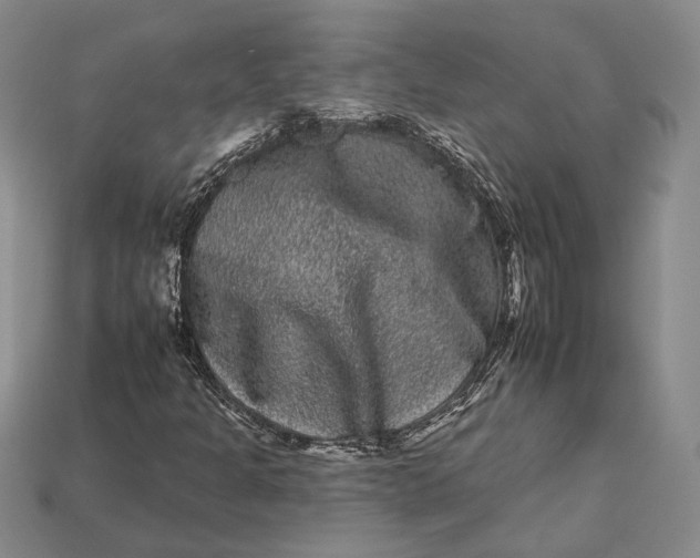 X0000112931301200909141325