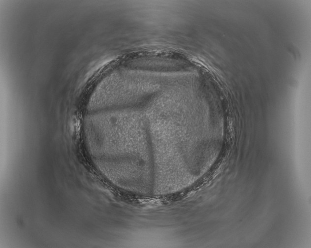 X0000112931302200909141325