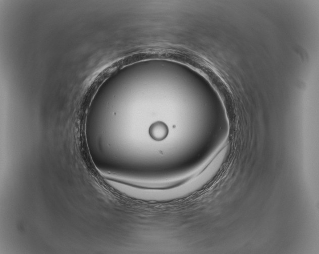 X0000112931304200909141325