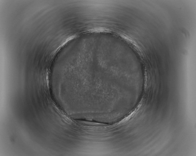 X0000112931305200909141325