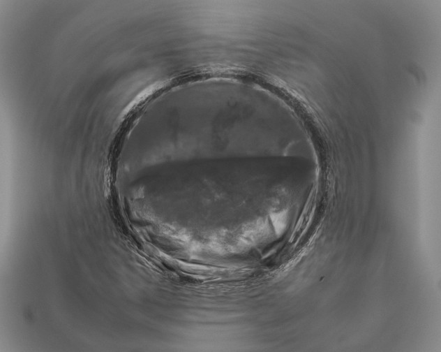 X0000112931306200909141325