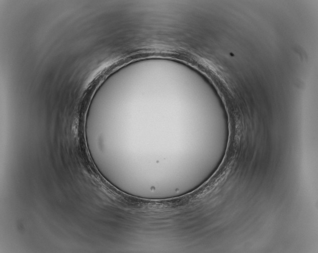 X0000112931307200909141325