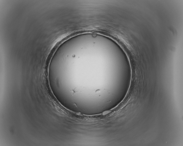 X0000112931308200909141325