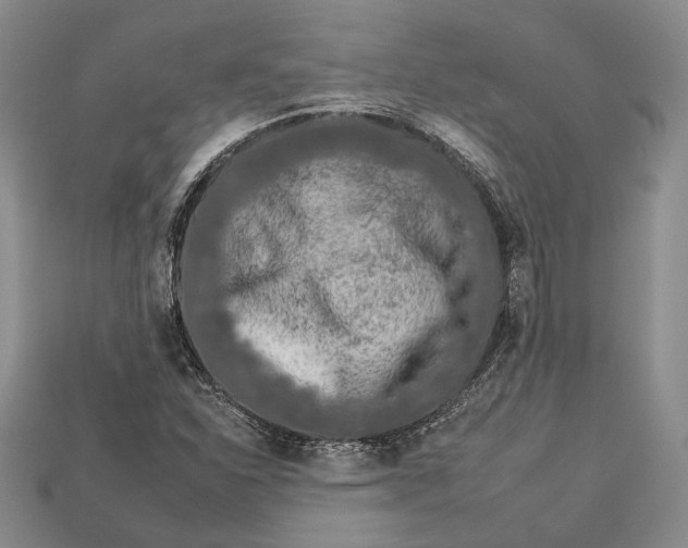 X0000112931310200909141325