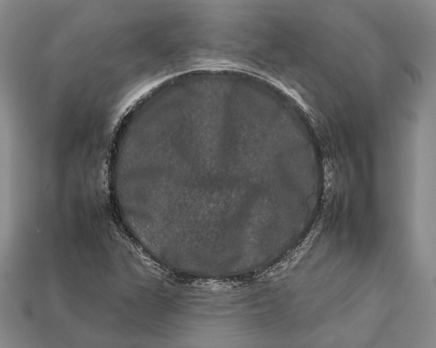 X0000112931311200909141325