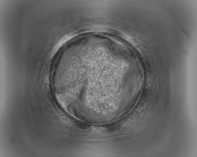 X0000112931312200909141325