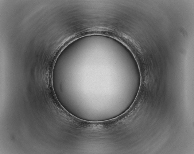 X0000112931313200909141325