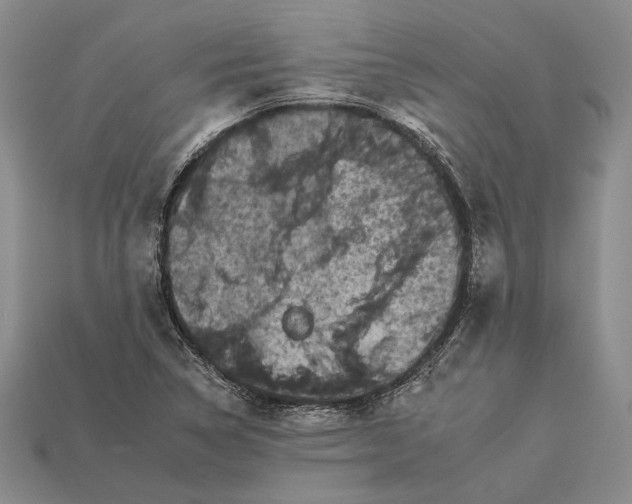 X0000112931314200909141325