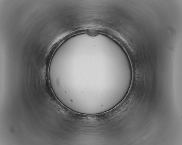 X0000112931315200909141325