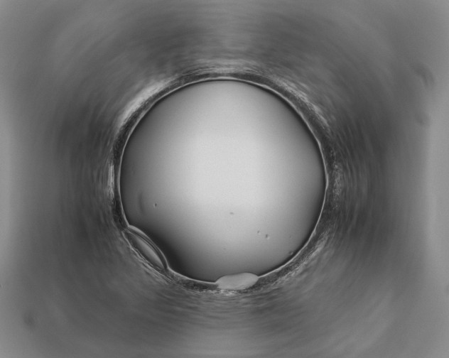 X0000112931317200909141325