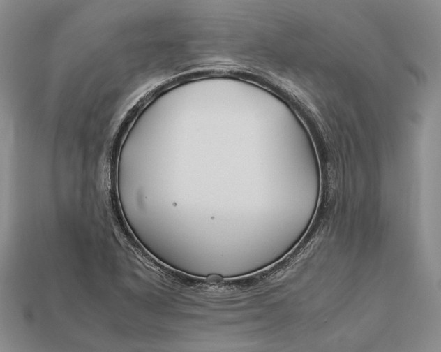 X0000112931318200909141325