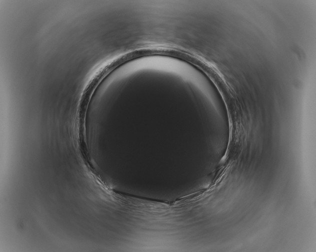 X0000112931319200909141325