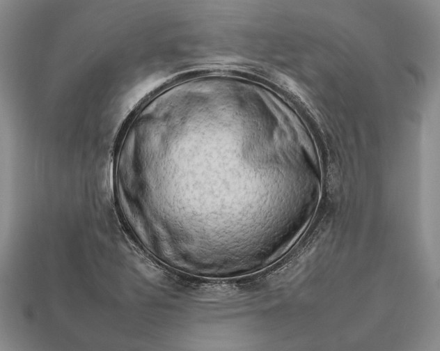 X0000112931320200909141325