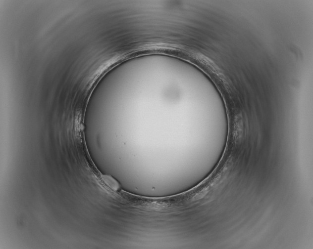 X0000112931321200909141325