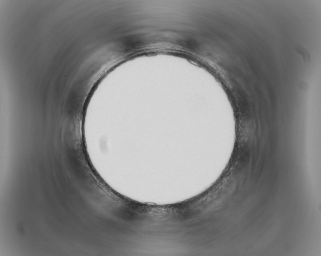 X0000112931322200909141325