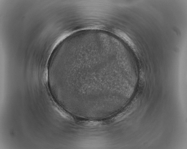 X0000112931324200909141325