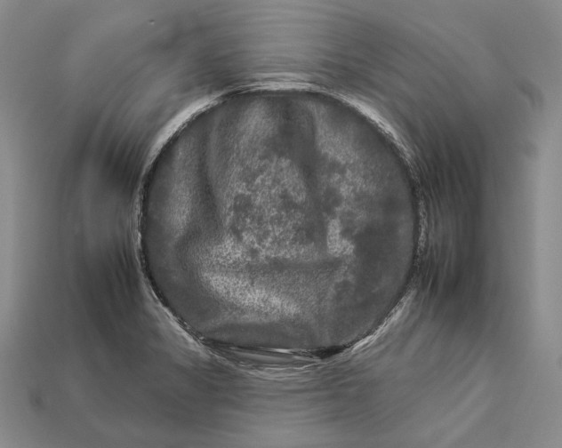 X0000112931325200909141325