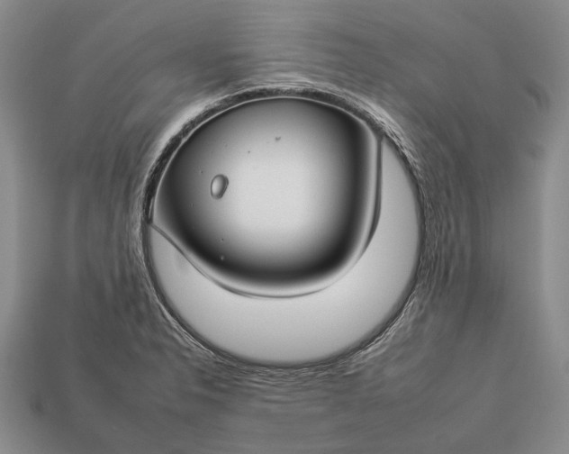 X0000112931326200909141325