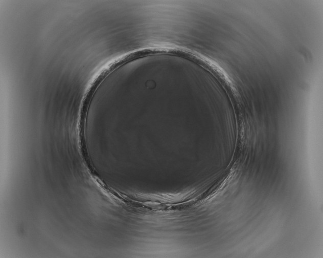 X0000112931327200909141325