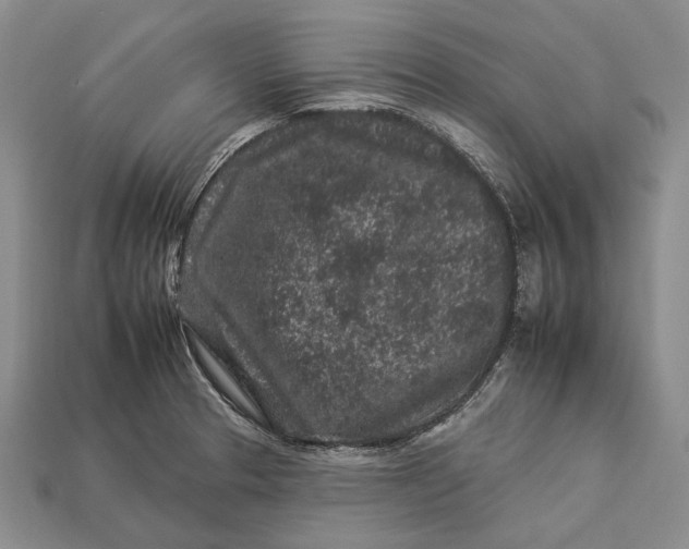 X0000112931329200909141325