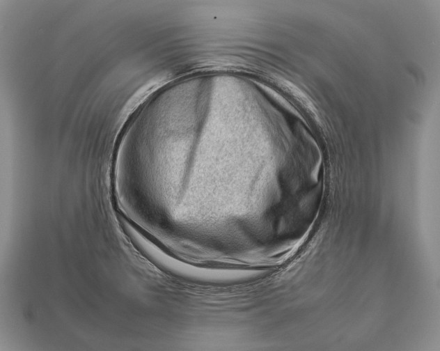 X0000112931330200909141325