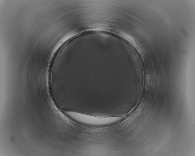 X0000112931331200909141325