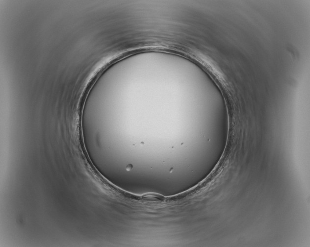 X0000112931332200909141325