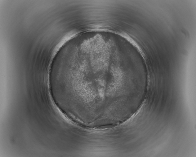 X0000112931333200909141325