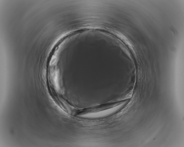 X0000112931334200909141325