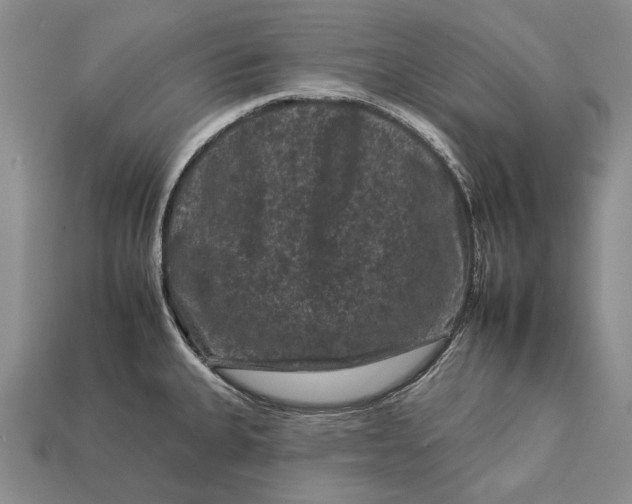 X0000112931335200909141325