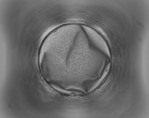 X0000112931336200909141325