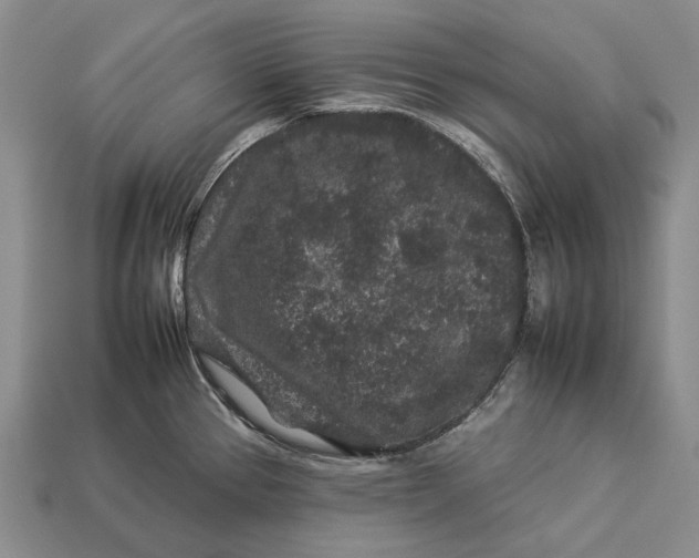 X0000112931337200909141325