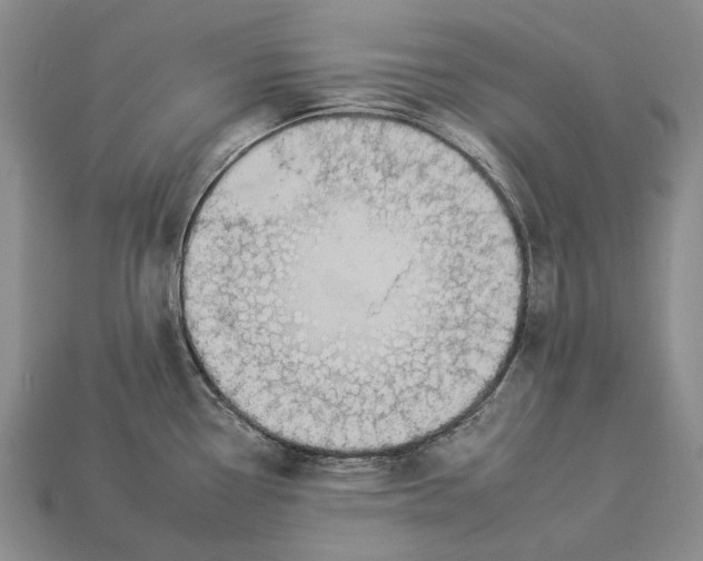 X0000112931338200909141325