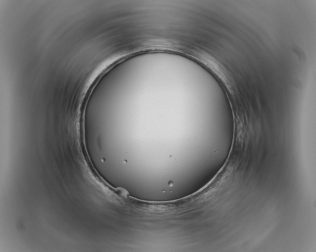 X0000112931339200909141326