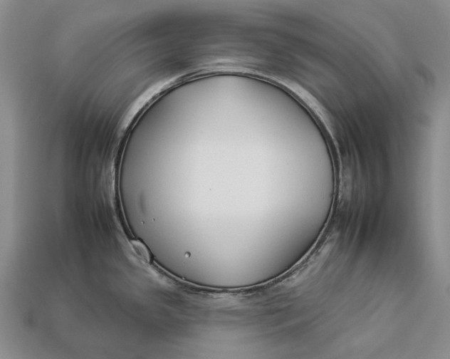 X0000112931341200909141326